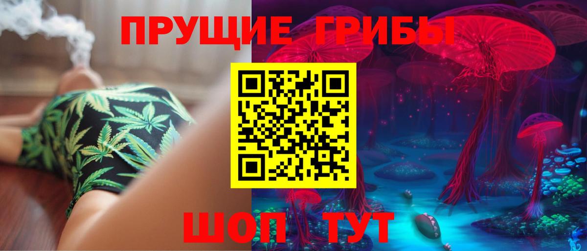 Мурино  Галлюциногенные грибы Psilocybine cubensis  цены   Вход с VPN 